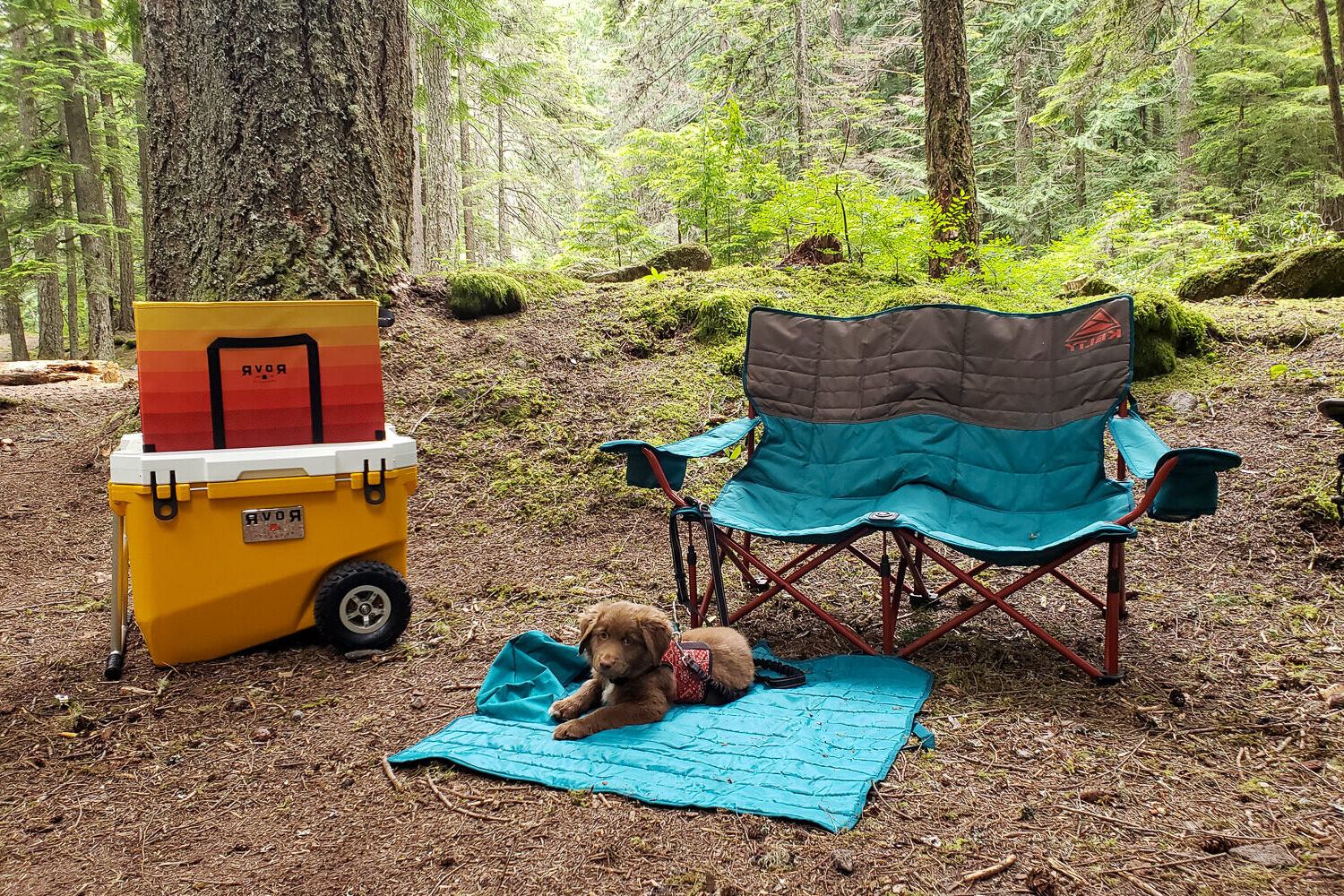 Beste Kampeerstoelen – Top 15