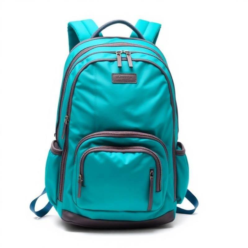 Cotopaxi Allpa 35 Liter Reisrugzak